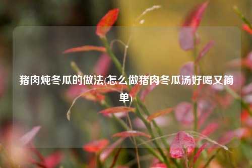 猪肉炖冬瓜的做法(怎么做猪肉冬瓜汤好喝又简单)