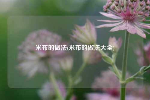 米布的做法(米布的做法大全)