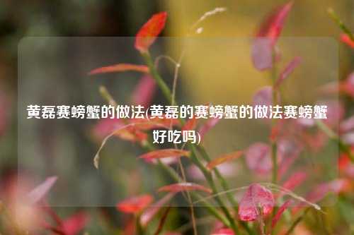 黄磊赛螃蟹的做法(黄磊的赛螃蟹的做法赛螃蟹好吃吗)