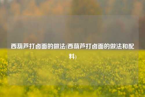 西葫芦打卤面的做法(西葫芦打卤面的做法和配料)