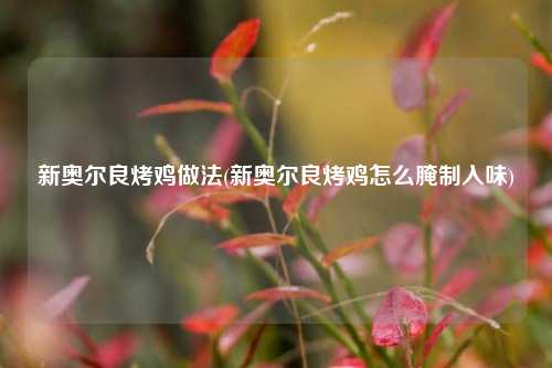 新奥尔良烤鸡做法(新奥尔良烤鸡怎么腌制入味)