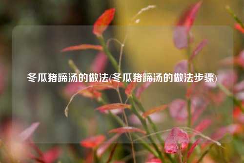 冬瓜猪蹄汤的做法(冬瓜猪蹄汤的做法步骤)
