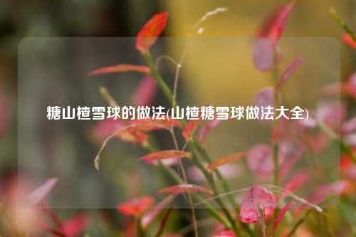 糖山楂雪球的做法(山楂糖雪球做法大全)