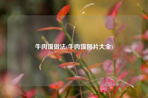 牛肉馍做法(牛肉馍图片大全)