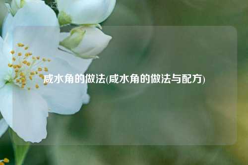 咸水角的做法(咸水角的做法与配方)