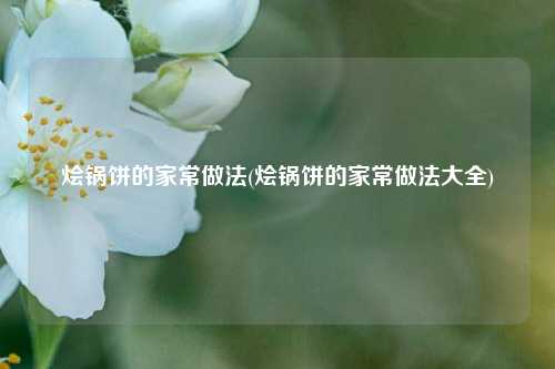 烩锅饼的家常做法(烩锅饼的家常做法大全)