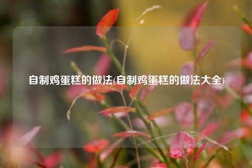 自制鸡蛋糕的做法(自制鸡蛋糕的做法大全)