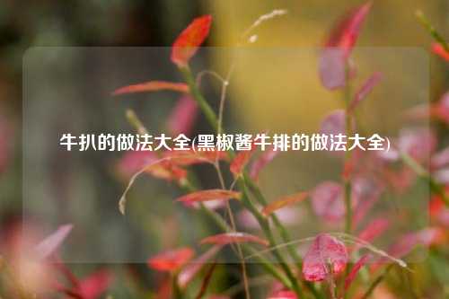 牛扒的做法大全(黑椒酱牛排的做法大全)
