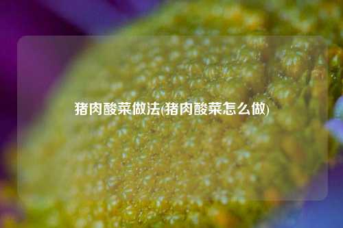 猪肉酸菜做法(猪肉酸菜怎么做)