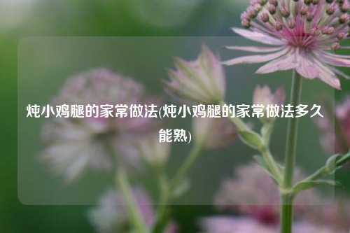 炖小鸡腿的家常做法(炖小鸡腿的家常做法多久能熟)