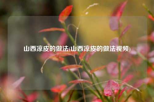 山西凉皮的做法(山西凉皮的做法视频)