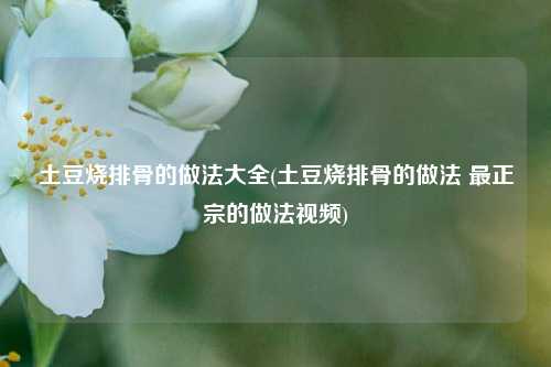 土豆烧排骨的做法大全(土豆烧排骨的做法 最正宗的做法视频)