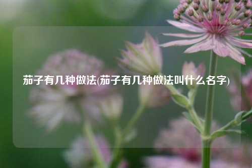 茄子有几种做法(茄子有几种做法叫什么名字)