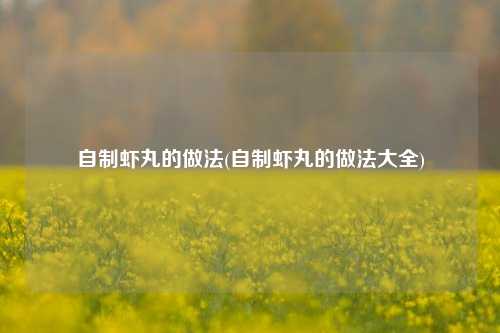 自制虾丸的做法(自制虾丸的做法大全)