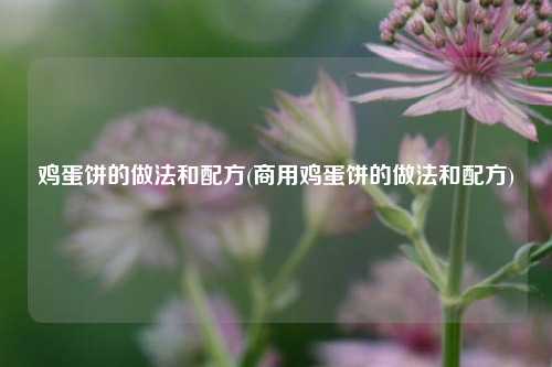 鸡蛋饼的做法和配方(商用鸡蛋饼的做法和配方)