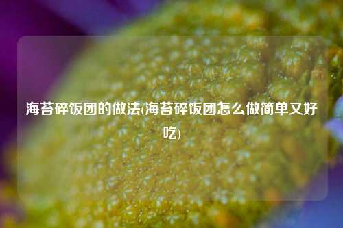 海苔碎饭团的做法(海苔碎饭团怎么做简单又好吃)