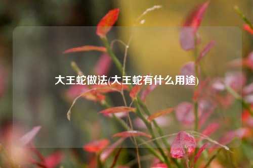 大王蛇做法(大王蛇有什么用途)